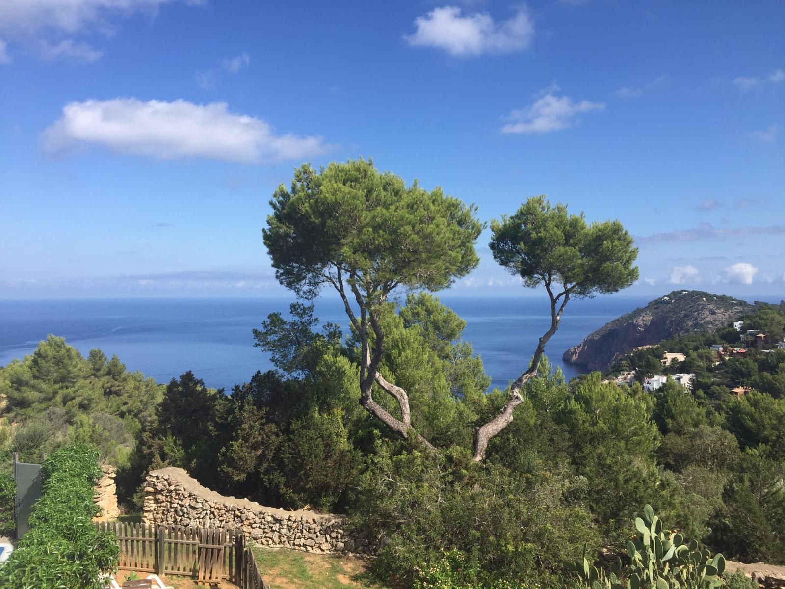villa_01507_ori_07.jpeg